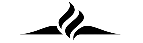 SteamIcon